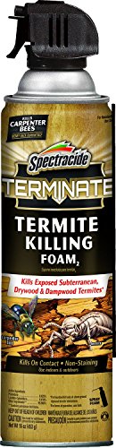 Spectracide Terminate Termite Killing Foam,...