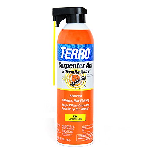 TERRO T1901-6 Ready to Use Indoor and Outdoor...