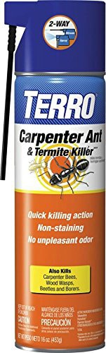 3 Best Termite Spray Products To Kill The Pest Instantly!!!